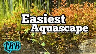 As Natural and Easy as it Gets Yard Aquascape Aquarium and Aquarium Garden Updates