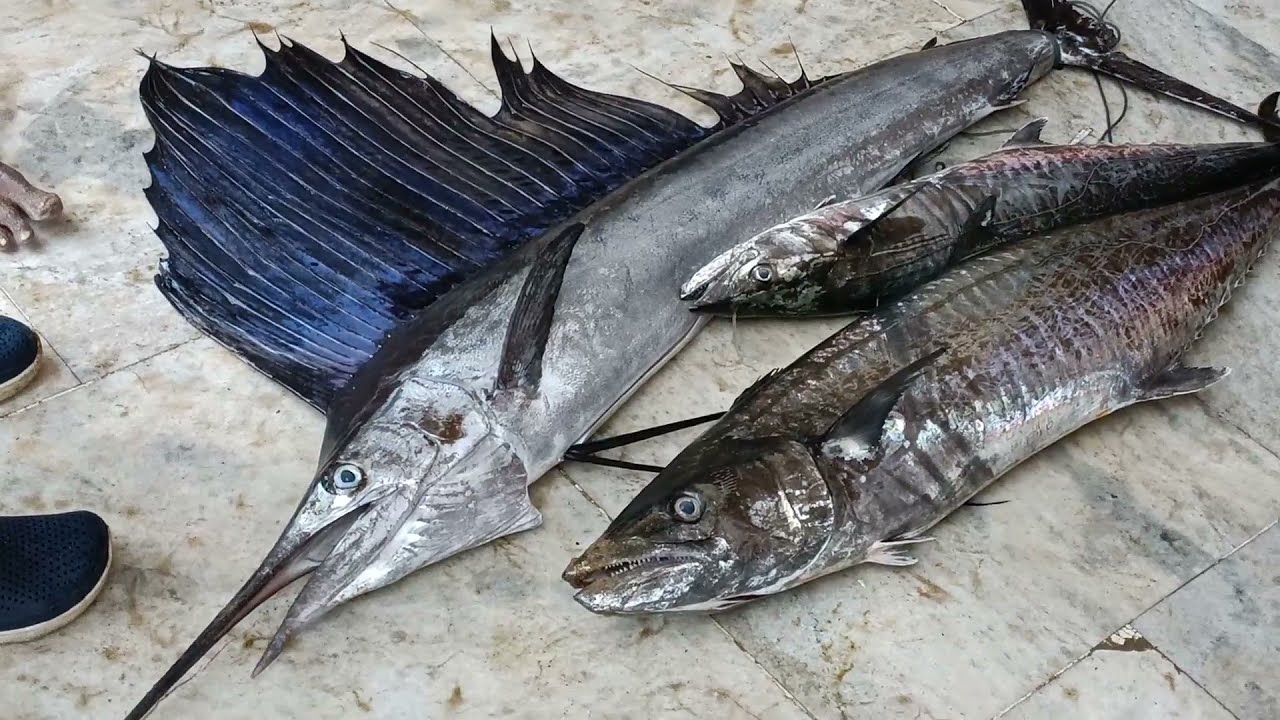 Gopalpur se Beach 2021