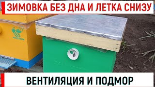 Зимовка Без Дна И Летка. Вентиляция И Подмор.