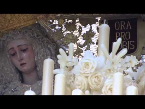 Pontificia, Real, Ilustre, Antigua y Dominica Hermandad y Archicofradía de Nazarenos de la Sagrada Oración de Nuestro Señor Jesucristo en el Huerto, Santísimo Cristo de la Salud y María Santísima del Rosario en sus Misterios Dolorosos Coronada y Santo Domingo de Guzmán 