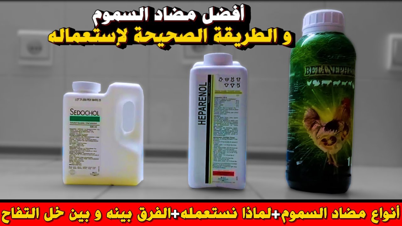 كيف تختار مضاد السموم المناسب و الطريقة الصحيحة لاستعماله و الفرق بينه و بين خل التفاح⛔تربية الدجاج🐓
