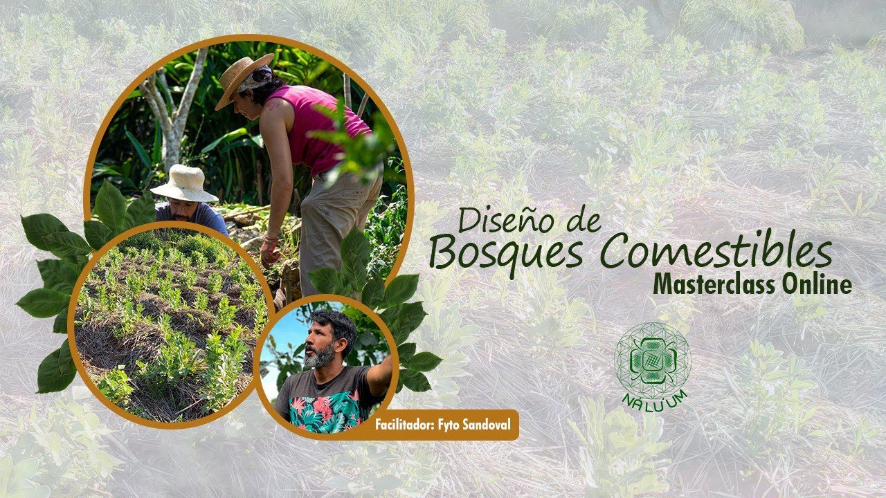 🌾🌱 Masterclass Online de Diseño de Bosques Comestibles con Fyto Sandoval 🌱🌾