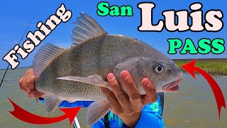 SO MANY FISH HERE !!!!! Fishing San Luis Pass | Fishing the Bank and Channel for Whatever Bites