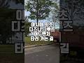 아시아 최초 디즈니 크루즈 어드벤처 타러 가는 길 #아델라안 #싱가포르 #singapore #디즈니크루즈 #disneycruise