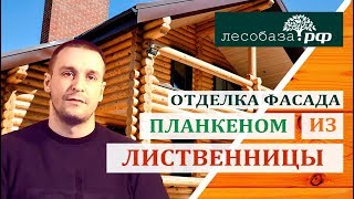 Планкен из лиственницы. Отделка фасада и потолка Планкен из лиственницы. Отделка фасада и потолка