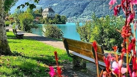 ارح سمعك …تلاوة هادءة تريح القلب و العقل "اللهم أجعل القرآن ربيع قلوبنا و نور صدورنا"  ❤️❤️