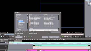 3: Export with Alpha Channel in EDIUS Pro 6.5