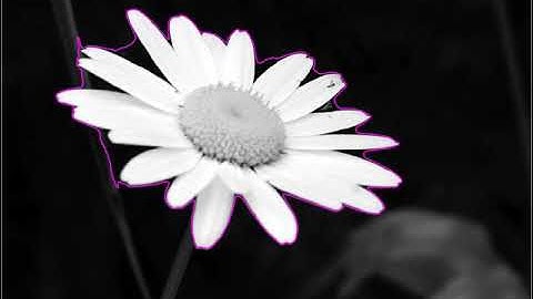 Region and Boundary based segmentation