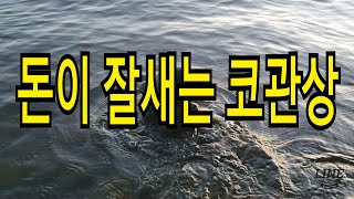 돈이 잘새는 코관상. 콧구멍이 훤히 보이면 돈이 잘샌다.