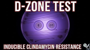 D- zone resistance pattern between erythromycin and clindamycin discs #health #microorganism
