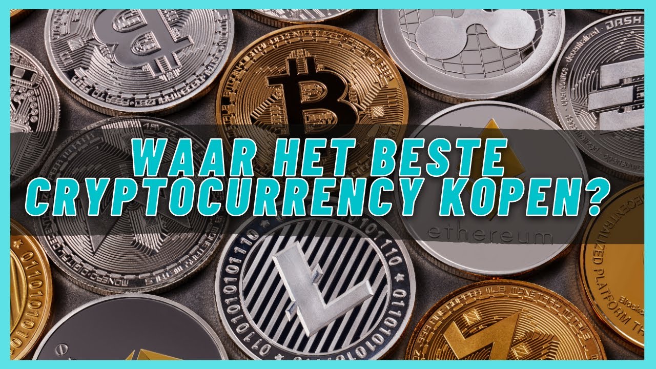 Enjin joins the United Nations Global Compact to promote sustainability and  equality - 607 Patricia