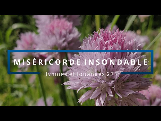 271 - Miséricorde insondable... (voix) | Hymnes et louanges | Audréanne Cloutier class=