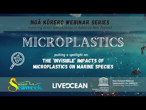 Ngā Kōrero: Microplastics - ‘invisible’ impacts on marine species