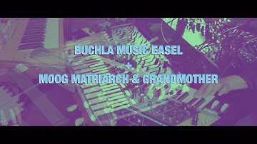 Buchla Music Easel + Moog Matriarch & Grandmother