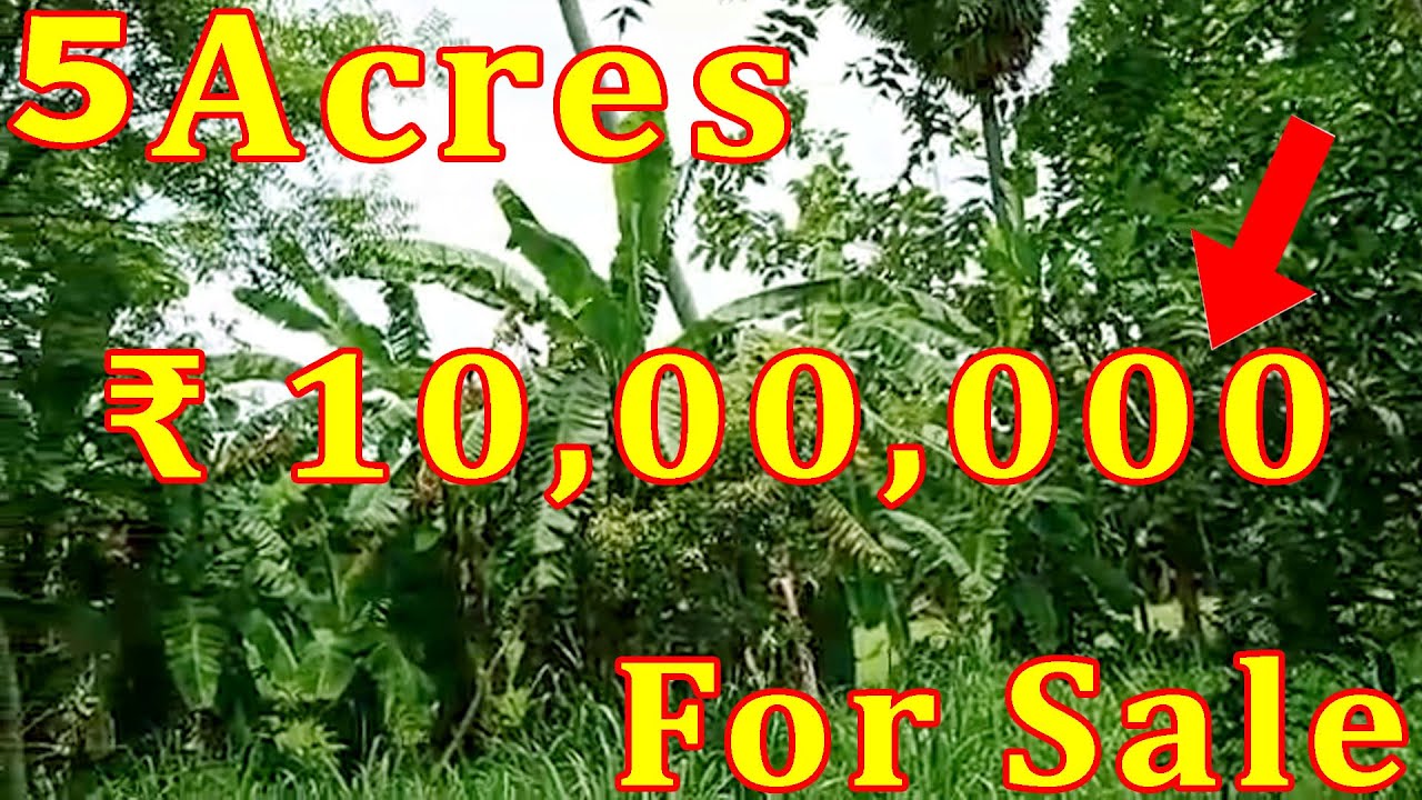 5 Acres Farm Land Sale For Money Purpose Vizag Real Estate Tv Per