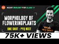 Morphology of Flowering Plants: ONE SHOT | PYQ NEET | NEET 2022 Biology | NCERT Class 11 | Vedantu