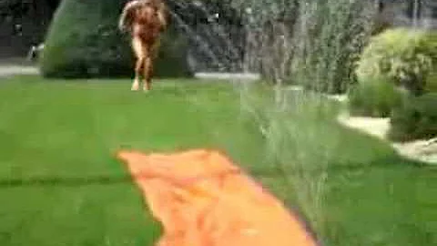 SAMMY BONES BBQ 7-7-07