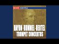 Miniature de la vidéo de la chanson Concerto In E Flat Major: I. Allegro