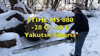 Stihl 880 -28C/ -20F Yakutsk Siberia #Stihl #ms880 #drujba #500i #881