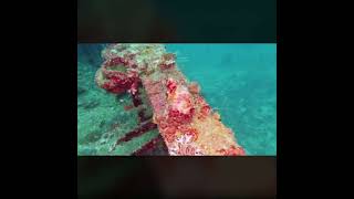 Camina shipwreck Boracay Cebu Philippines  March 2022