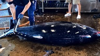 Fascinating 400kg Bluefin Tuna Cutting Show