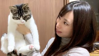 我慢できずに猫吸いするママ