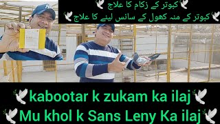 Kabootar kay Moo khol k Sans lainy ka ilaj | zukam bukhar ka ilaj | how to cure flu n fever of pign