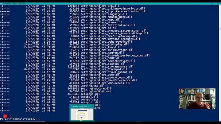 Powershell wildcards * and ?