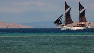 Luxury Liveaboard Diving in Komodo