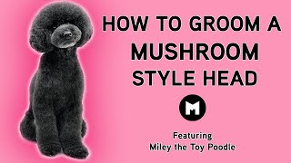 How to groom a mushroom style head