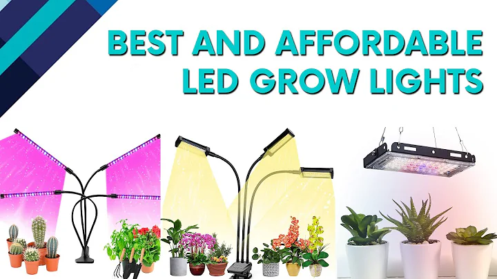 Best Cheapest LED Grow Lights in 2021