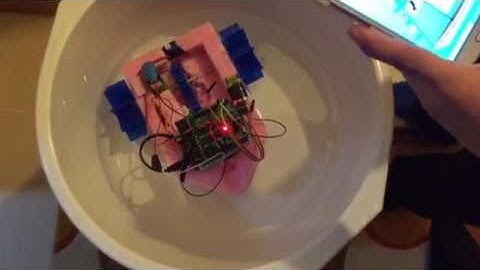 Arduino controlled boat. Main parts are printed in ABBAS 3D printer. - January, 2017