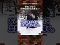 【名探偵コナン検証】雪の上なら足跡偽装は出来る？#名探偵コナン