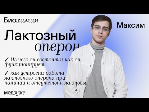 Бейне: Лактоза опероны қалай жұмыс істейді?