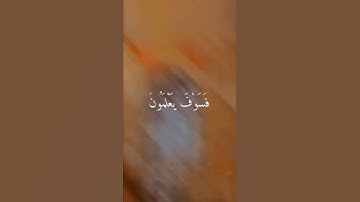 القارئ هزاع البلوشي | سورة الحجر | ربما يود الذين كفروا لو كانوا مسلمين