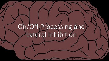 Lateral Inhibition and Photoprocessing