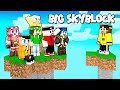 MI SENTO TRADITO DA.. - BIG SKYBLOCK #8 - MINECRAFT ITA