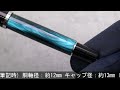 Pelikan ペリカン 万年筆 クラシック M205 ぺトロールマーブル EF