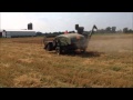 Wheat Harvest- John Deere 30 Pull Combine and 620