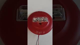 Wheelock NS-24MCCH horn/strobe