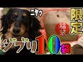 笑う犬と18,000円で25,000円分のお得福袋開封してみたら意外なお得なもの入ってたｗｗｗ