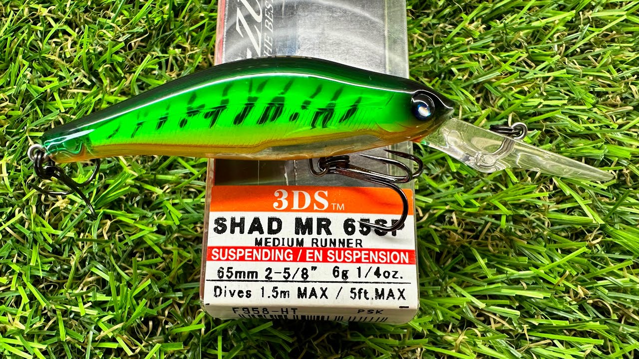 Esca Matrix Shad 3 Ultra Violet – 8 Pezzi In Plastica Morbida Per Pesca In Acqua Dolce E Salata