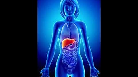 What is a Transcriptome