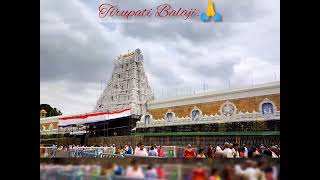 Tirupati Balaji temple ? l Venkateswara l Tirumala Tirupati Devasthanams Andhra Pradesh famous