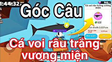 Play Together | GÓC CÂU Lên Cá Voi Râu Trắng Vương Miện Thành Công | Lão Cá PLAY