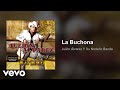 Julión Álvarez Y Su Norteño Banda - La Buchona (Audio)