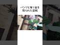 パ⚫︎ツと有金を取られた盗賊#このすば