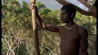 The Korowai Tribe (amazing tree-house builders from BBC's Human Planet).mp4