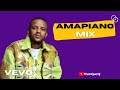 Best Amapiano Mix | ThamQue DJ | 2022