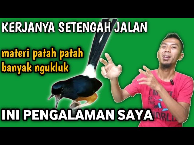 kerjanya cuman setengah kopling materi patah patah kebanyakan ngukluk kita belajar bareng class=